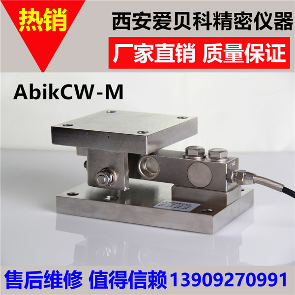 CW-M动载称重模块